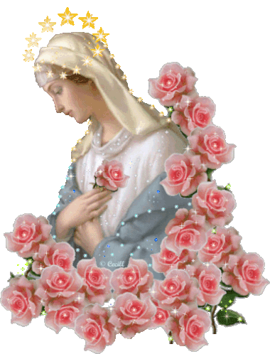Rose Virgin Sticker - Rose Virgin Mary Stickers