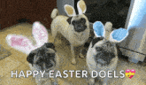 Funny Animals Happy Easter GIF
