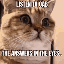 Podcast Oab GIF