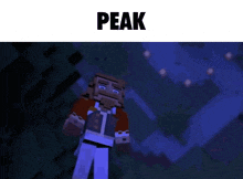 a man in a minecraft video game is standing in the dark with the word peak above him
