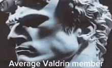 a statue of a man with the words average valdrin member written below it