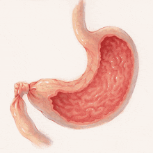 a drawing of a stomach with a yellowish substance inside