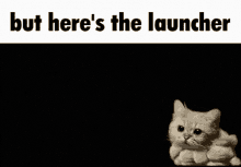 but heres the launcher cat