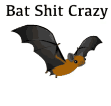 Bat Shit Crazy GIF - GIFs