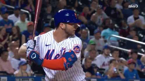 New York Mets Pete Alonso GIF - New york mets Pete Alonso Mets - Discover &  Share GIFs