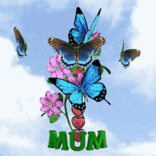 Mum Mom GIF - Mum Mom Butterflies GIFs