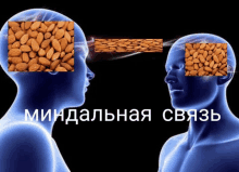 Meme Rus Meme GIF