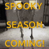 Spooky Season GIF - Spooky Season Halloween GIFs