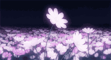 Flowers Anime GIF - Flowers Anime Beautiful GIFs