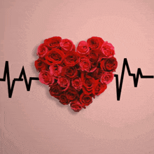 a heart made out of red roses with a heartbeat line behind it