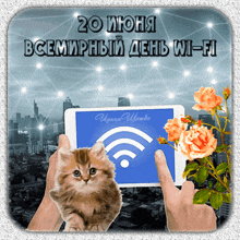 a picture of a kitten holding a tablet with a wi-fi symbol on it