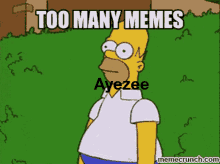 Ayezee Too Many Memes GIF - Ayezee Too Many Memes GIFs