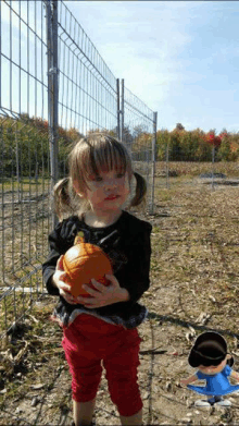 Cindy Pumpkin Patch GIF - Cindy Pumpkin Patch Halloween GIFs