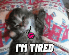 Tired I'M Tired GIF - Tired I'M Tired Cat GIFs