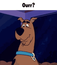 Ourr Scooby GIF - Ourr Scooby Question GIFs