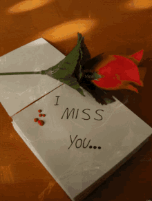 Imiss You Imy GIF - Imiss You Imy Rose GIFs