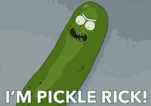 Pickle Rick And Morty GIF