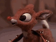 Rudolph GIF - Holiday Rudolph The Red Nosed Reindeer Adorable GIFs