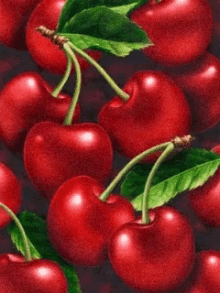Red Tomatoes GIF