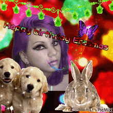 Happy Birthday Erasmos Bunny GIF - Happy Birthday Erasmos Erasmos Bunny GIFs