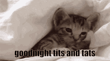 Goodnight Goodnight Tits And Tats GIF - Goodnight Goodnight Tits And Tats Good GIFs
