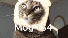 Mogcat 154 GIF - Mogcat Mog 154 GIFs