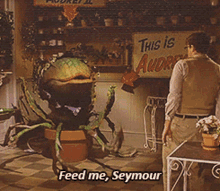 Seymour Feed Me GIF - Seymour Feed Me Plant GIFs