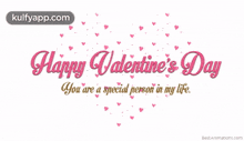 Valentines Hearts Special Person.Gif GIF - Valentines Hearts Special Person Valentines Day Kulfy GIFs