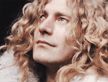 Led Zeppelin Judging You GIF - Led Zeppelin Judging You Glare GIFs