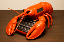 a calculator in the shape of a lobster is on a wooden table