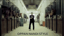 Nandi GIF - Nandi GIFs