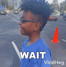 Wait Viralhog GIF - Wait Viralhog Hold On GIFs
