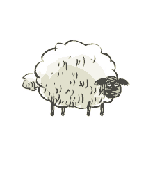 sheep home