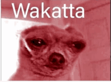 Wakatta GIF - Wakatta GIFs