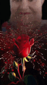 a man holding a bouquet of red roses in front of his face