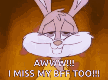 Bunny Missing You GIF