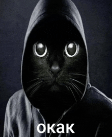 a black cat wearing a hoodie with the word okak on the bottom right