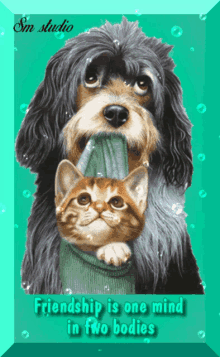 Love Friendship Is One Mind In Two Bodies GIF - Love Friendship Is One Mind In Two Bodies Dog GIFs