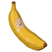crazy fruit banan human banana smile