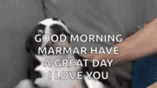 Good Morning Marmar Excited GIF - Good Morning Marmar Excited Dog GIFs