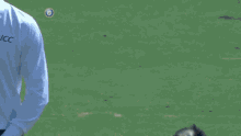 Cricket Swing And A Miss GIF - Cricket Swing And A Miss GIFs
