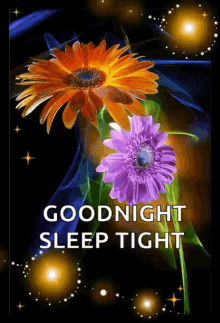 sleep tight good night flowers sparkles glowing