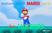 Luizdoro Mario GIF - Luizdoro Mario Luigi GIFs