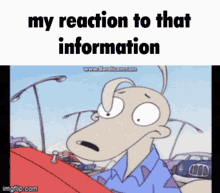 My Reaction To That Information Rocko GIF - My Reaction To That Information Rocko Rockos Modern Life GIFs