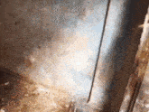 a person is standing in a room with a dirty wall .