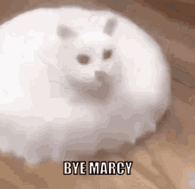 bye goodbye marcy weirdcore
