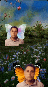 a man with butterfly wings is in a flower field