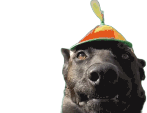 Happydograndy Sticker - Happydograndy Stickers