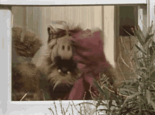 Alf Excited GIF - Alf Excited Happy GIFs