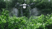 Dji Agriculture GIF - Dji Agriculture Drone GIFs